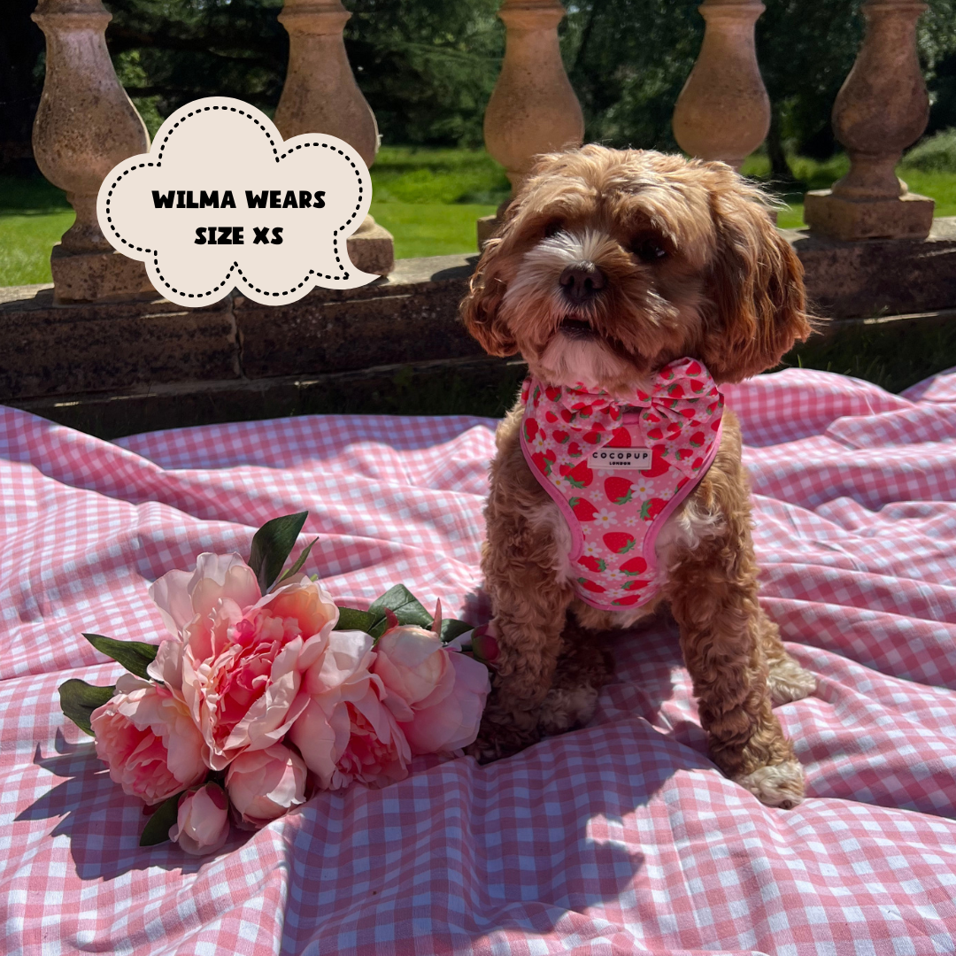 Pupberry Fields Adjustable Neck Harness