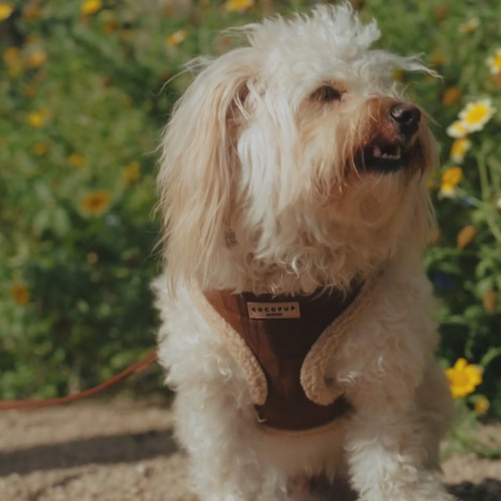 Brown Aviator Adjustable Neck Harness