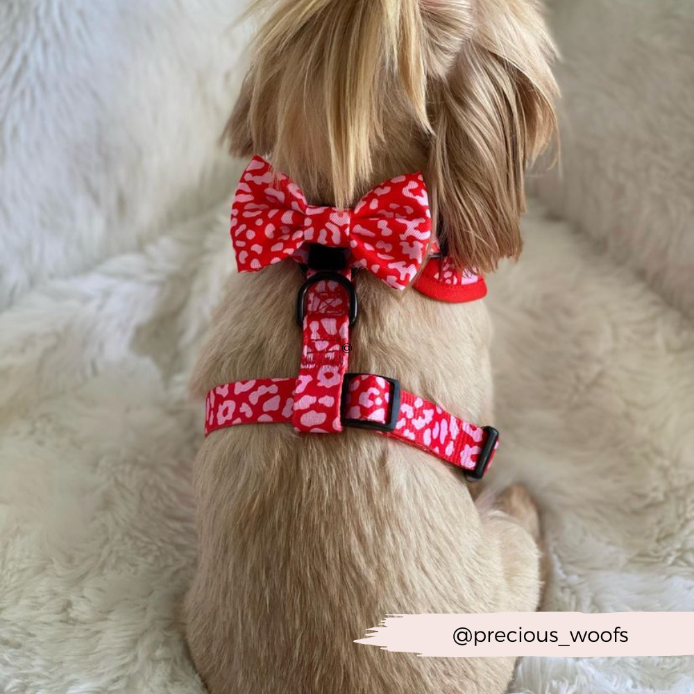 Red & Pink Leopard Bow Tie