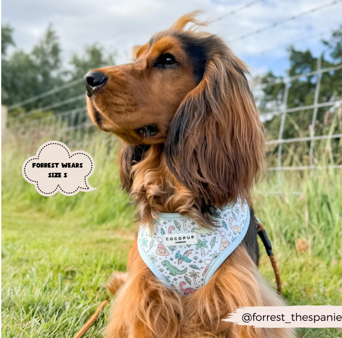 Dinopaws Adjustable Neck Harness