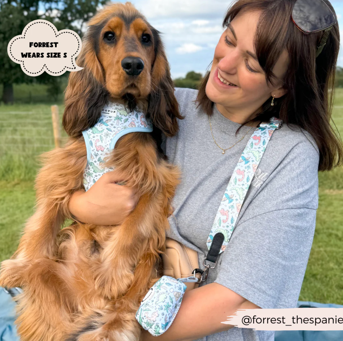 Dinopaws Adjustable Neck Harness