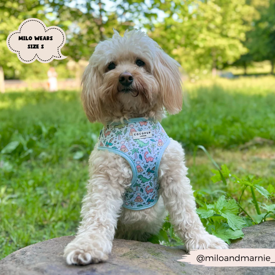 Dinopaws Adjustable Neck Harness