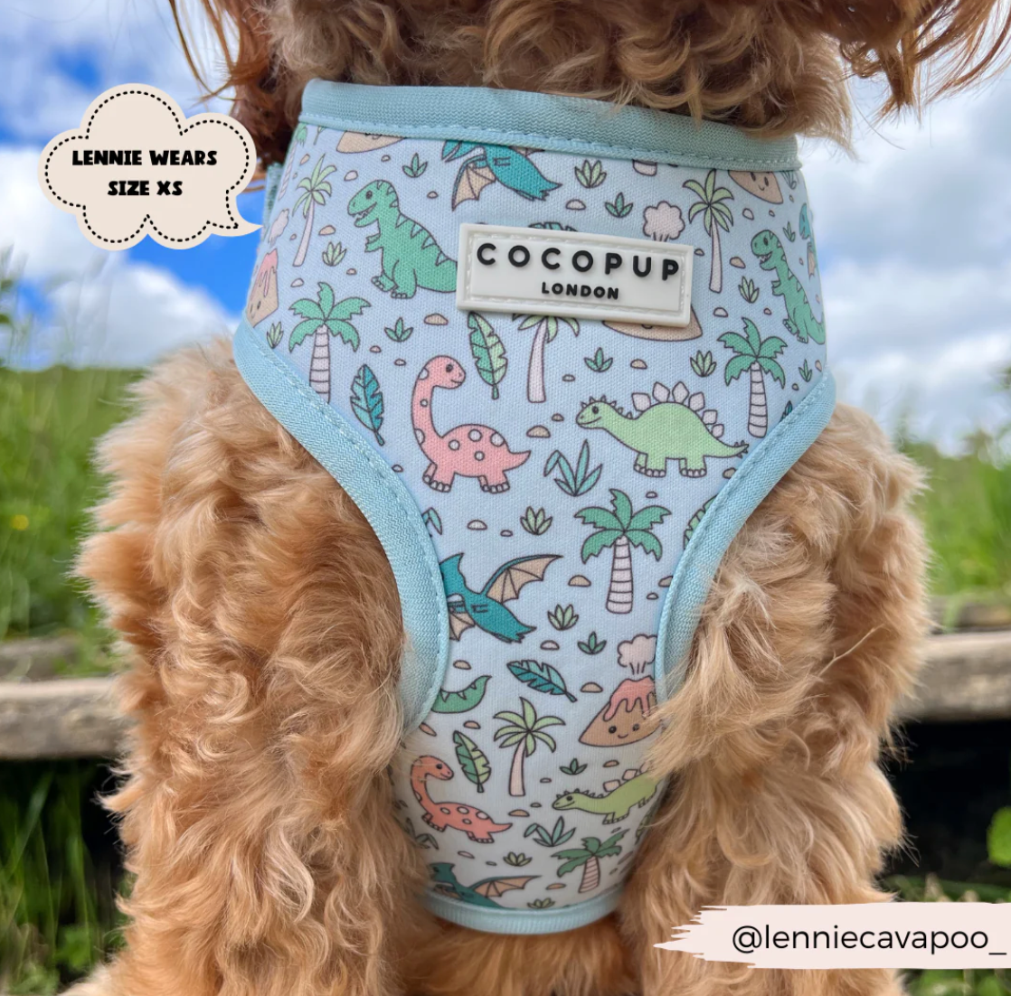 Dinopaws Adjustable Neck Harness