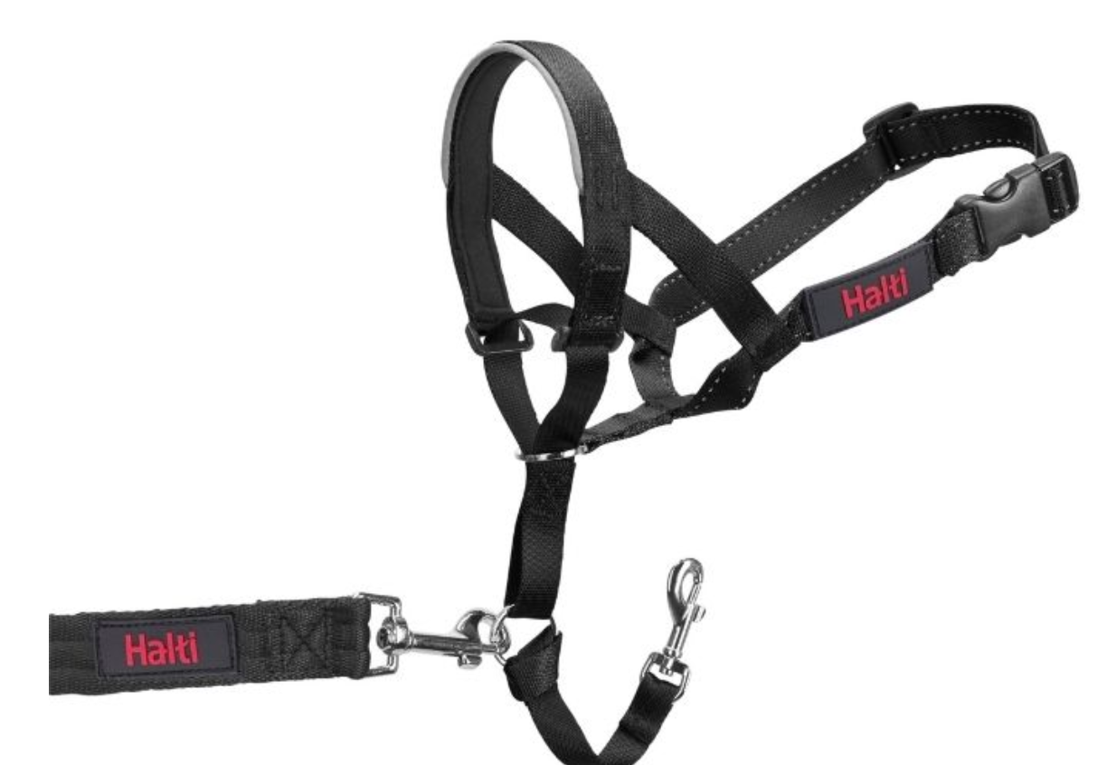 Halti Headcollar