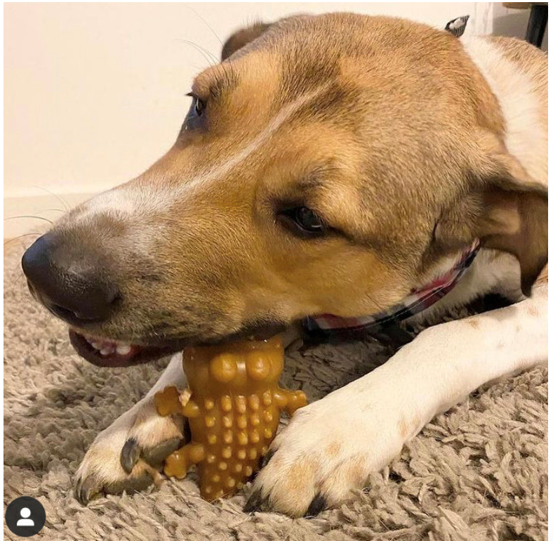 Vegan Dog Treats - Maks Patch Peanut Butter Crocodiles Medium