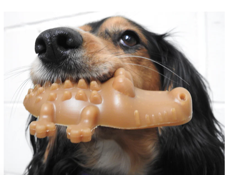 Vegan Dog Treats - Maks Patch Peanut Butter Crocodiles Medium