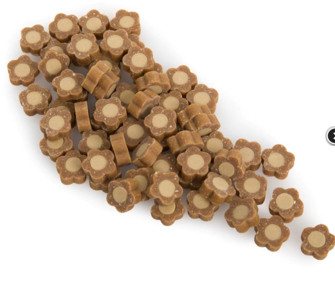 SUPERFOOD BITES WITH PEANUT & BANANA VEGAN DOG TREATS