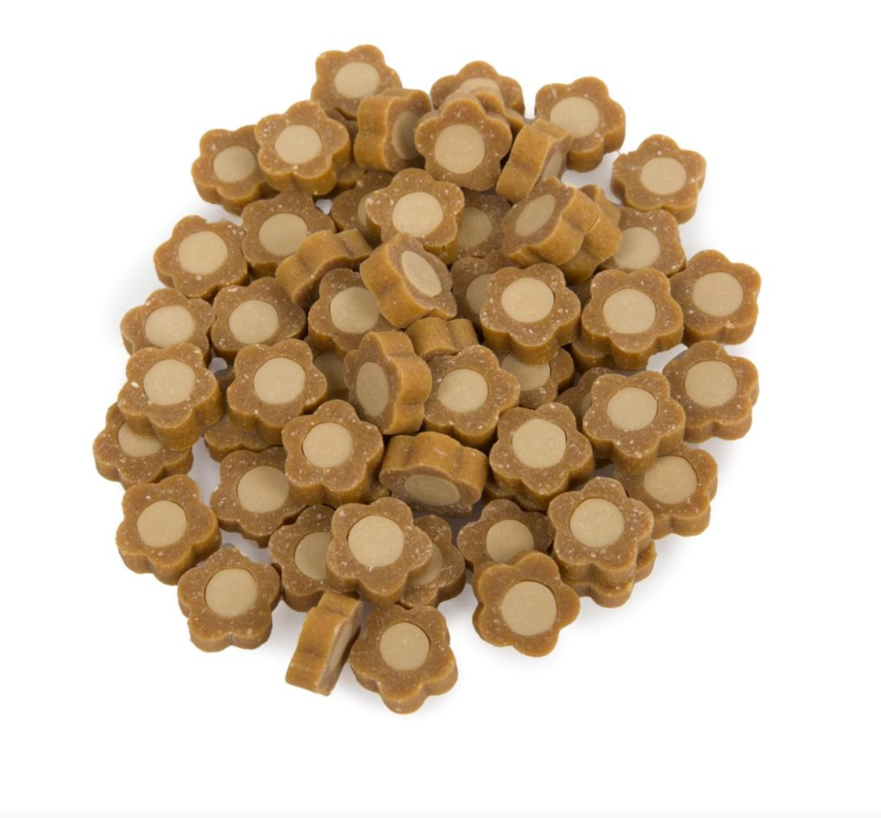 SUPERFOOD BITES WITH PUMPKIN & APPLE VEGAN DOG TREATS