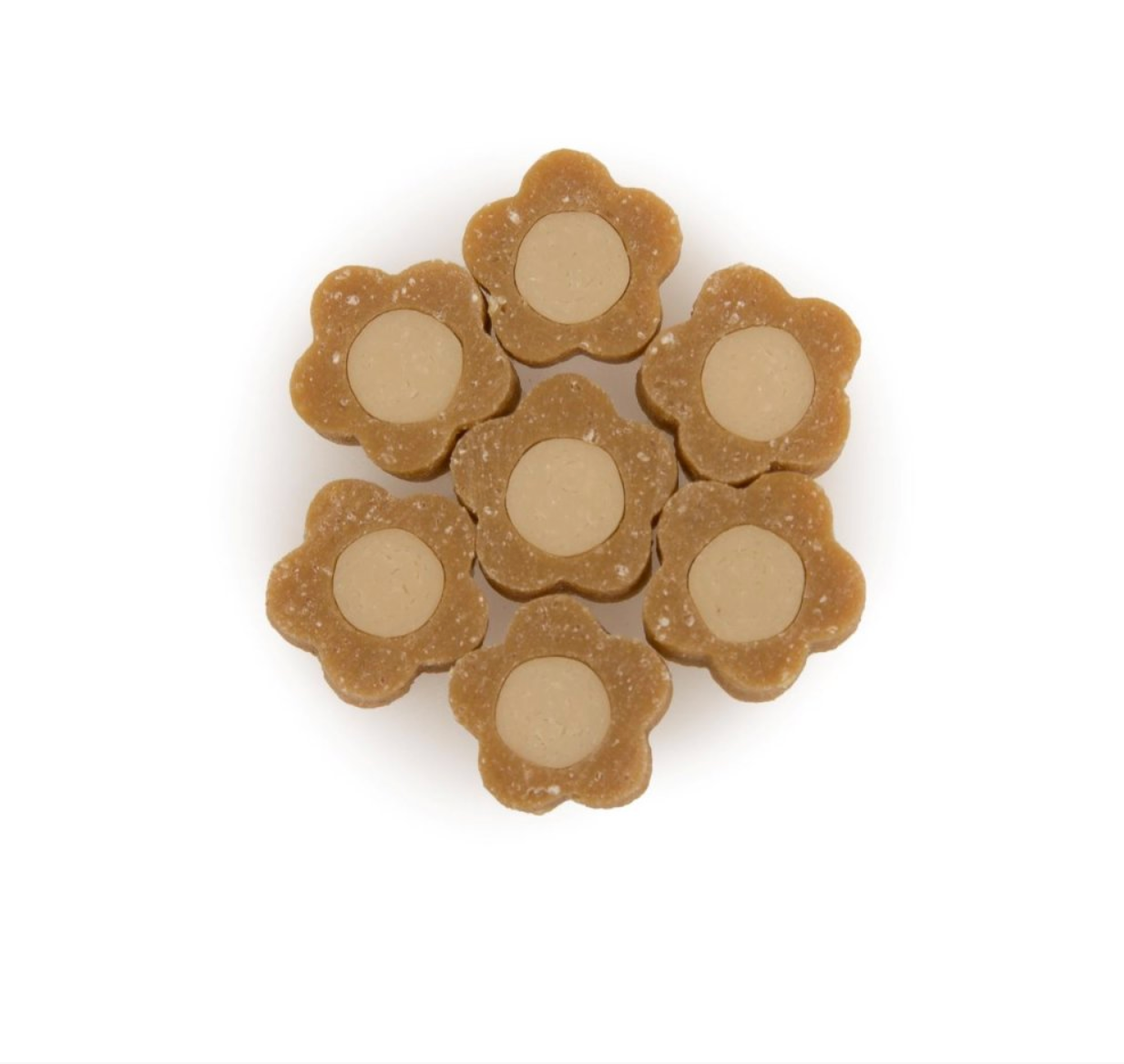 SUPERFOOD BITES WITH PUMPKIN & APPLE VEGAN DOG TREATS