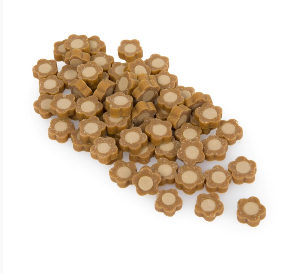 SUPERFOOD BITES WITH PUMPKIN & APPLE VEGAN DOG TREATS