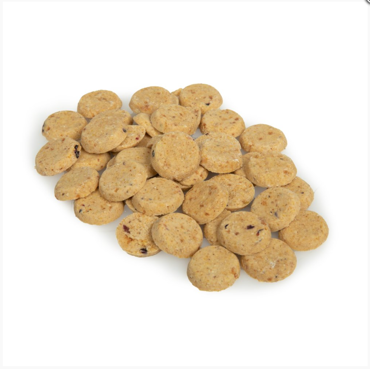 VEGAN DOG TREATS WITH PEANUT BUTTER, BLUEBERRY & APPLE