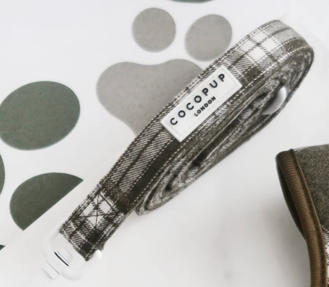 C0C0PUP Olive Check COLLAR