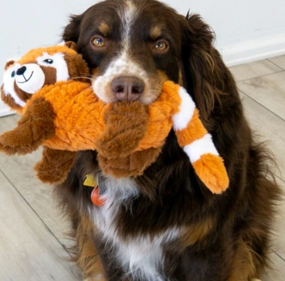 KONG Scampers Red Panda Dog Toy