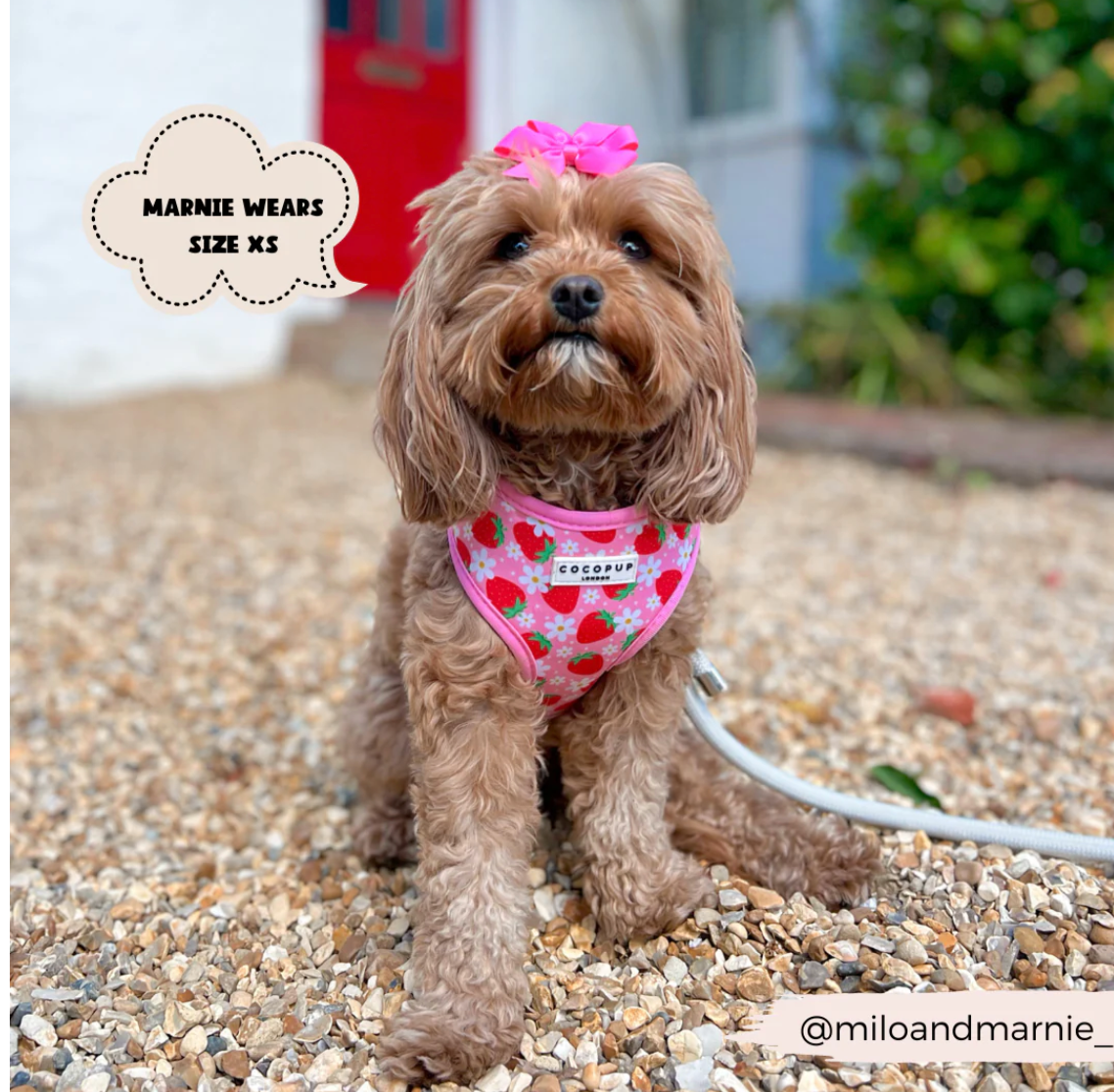 Pupberry Fields Adjustable Neck Harness