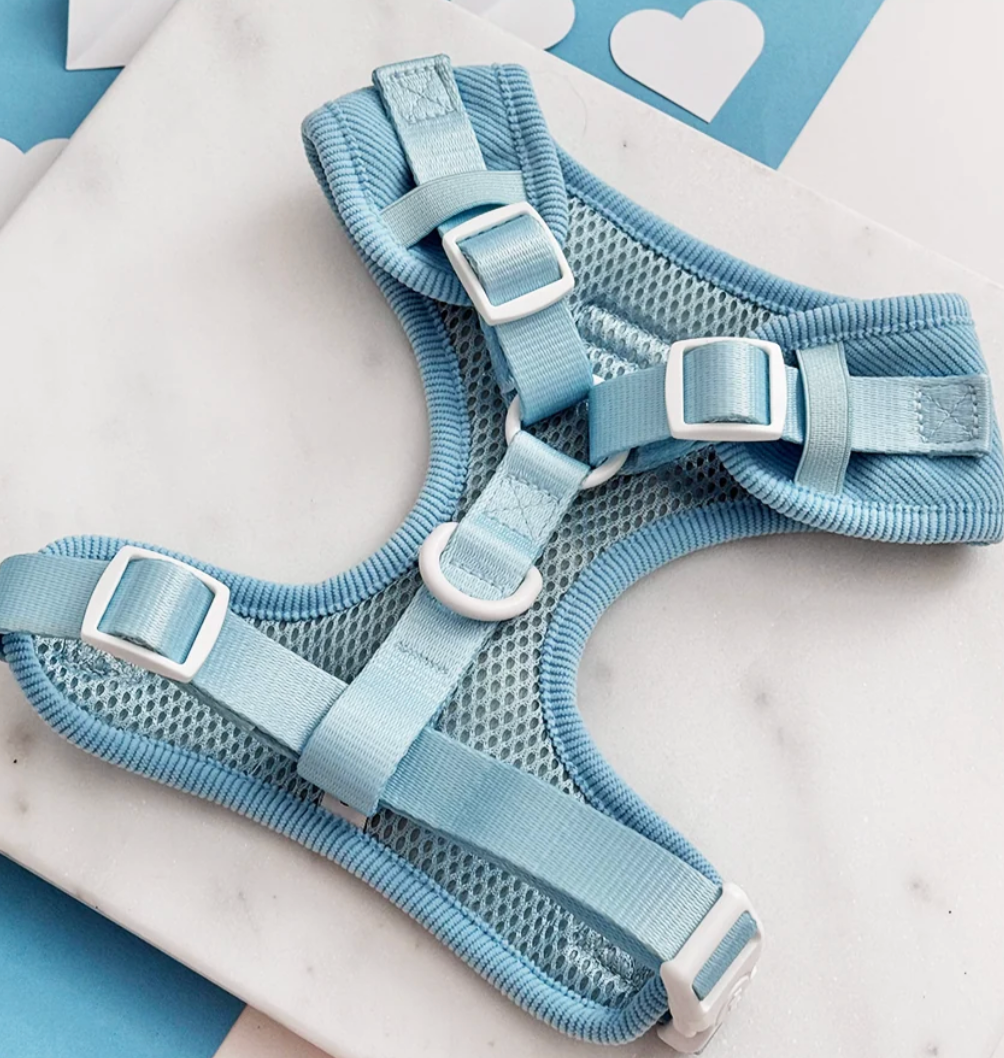 COCO PUP Blue Heart HARNESS SET