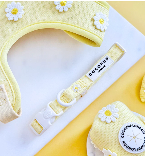 Buttercup Pup Adjustable Neck HARNESS,LEAD,COLLAR,POO BAG ,BOW TIE
