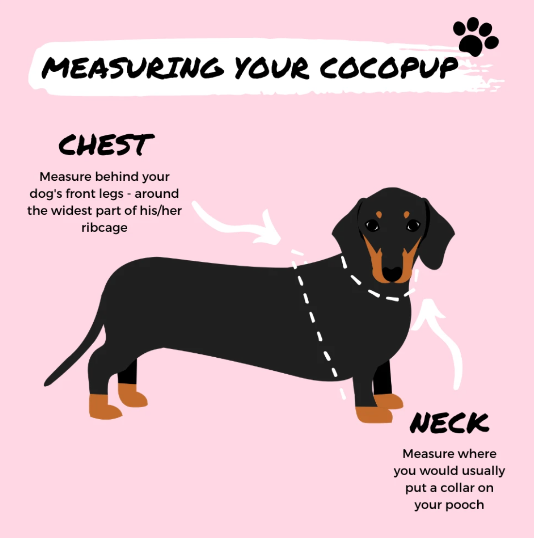 Pupberry Fields Adjustable Neck Harness