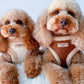 COCOPUP Brown Aviator Adjustable Neck HARNESS SET