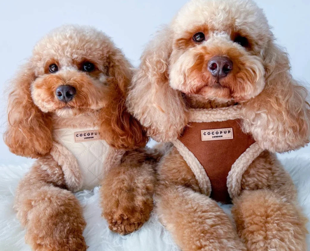 COCOPUP Brown Aviator Adjustable Neck HARNESS SET