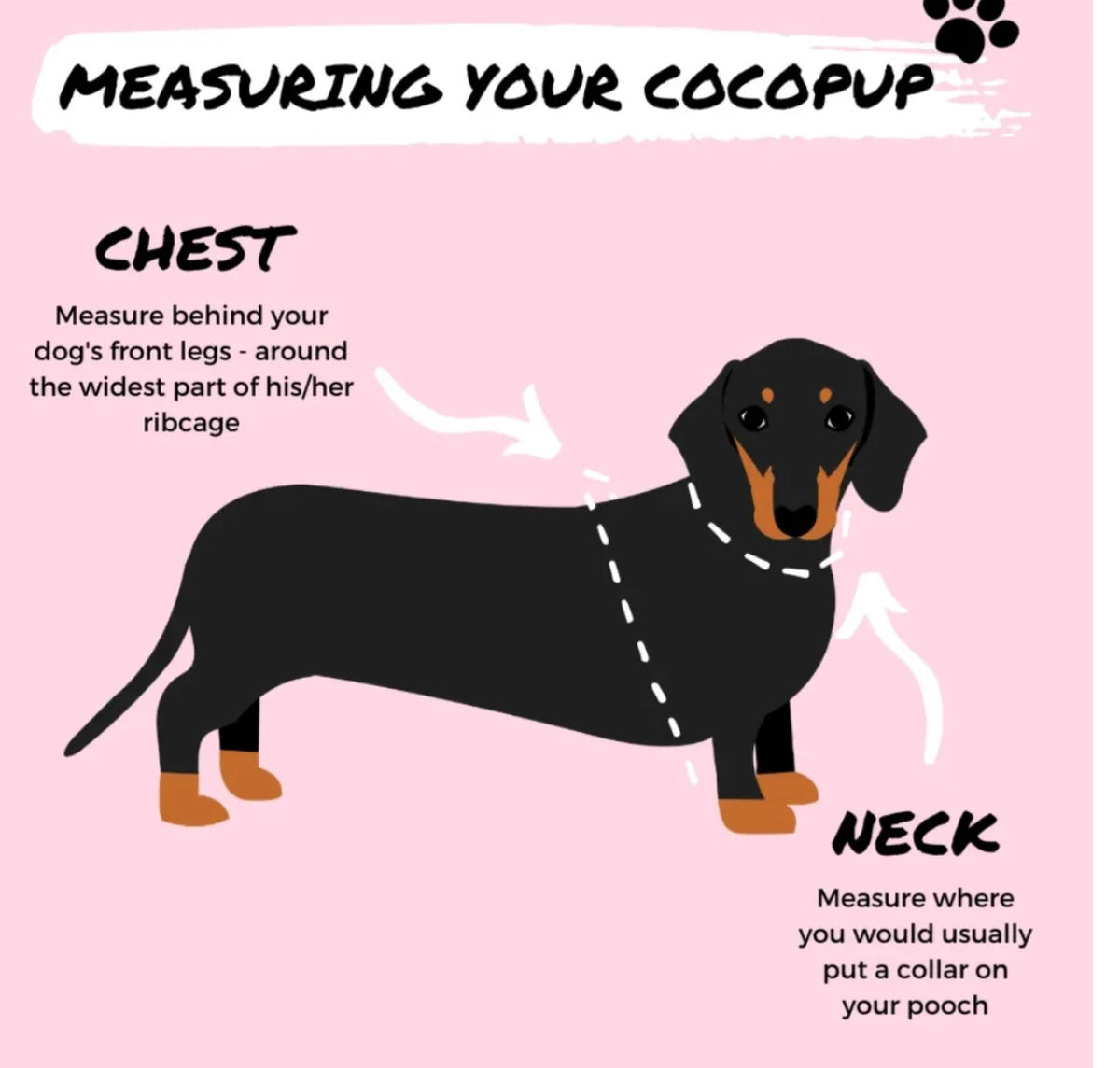 COCOPUP Brown Aviator Adjustable Neck HARNESS SET