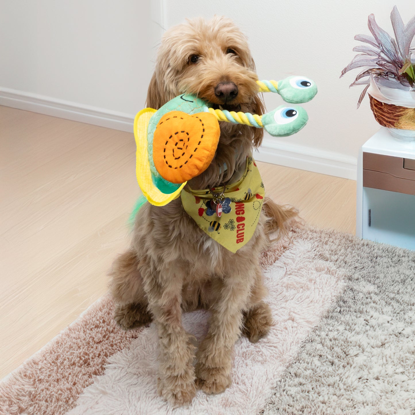 KONG Bendeez Snail Dog Toy Large Tough Plush Toy