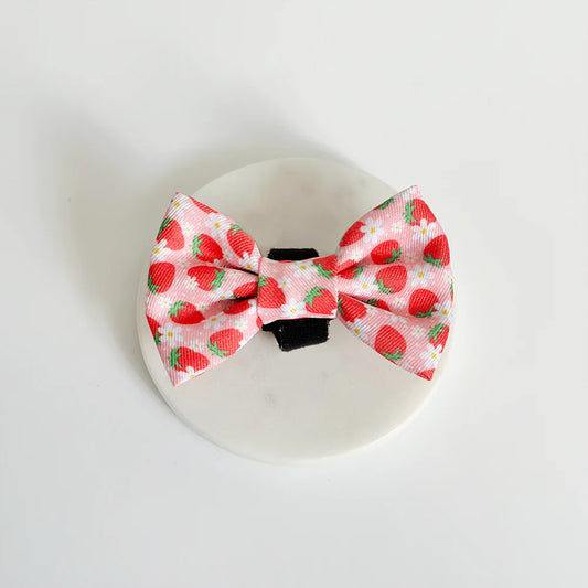 Pupberry Fields Bow Tie