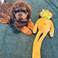 Jumbo Gingerbread Plush Dog Toy by Happy Pet