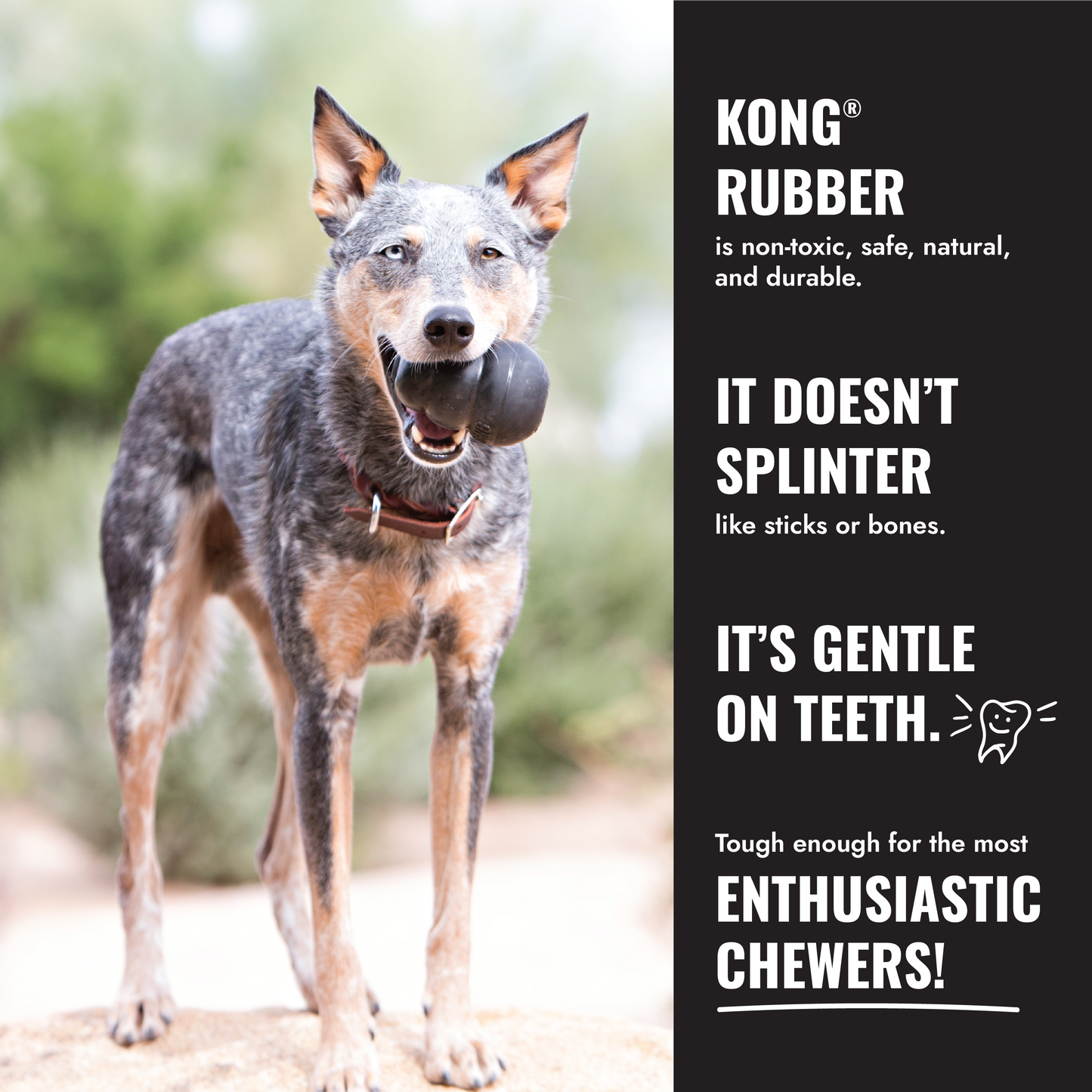 KONG Extreme Dog Toy