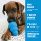 KONG Puppy - Dog Toy