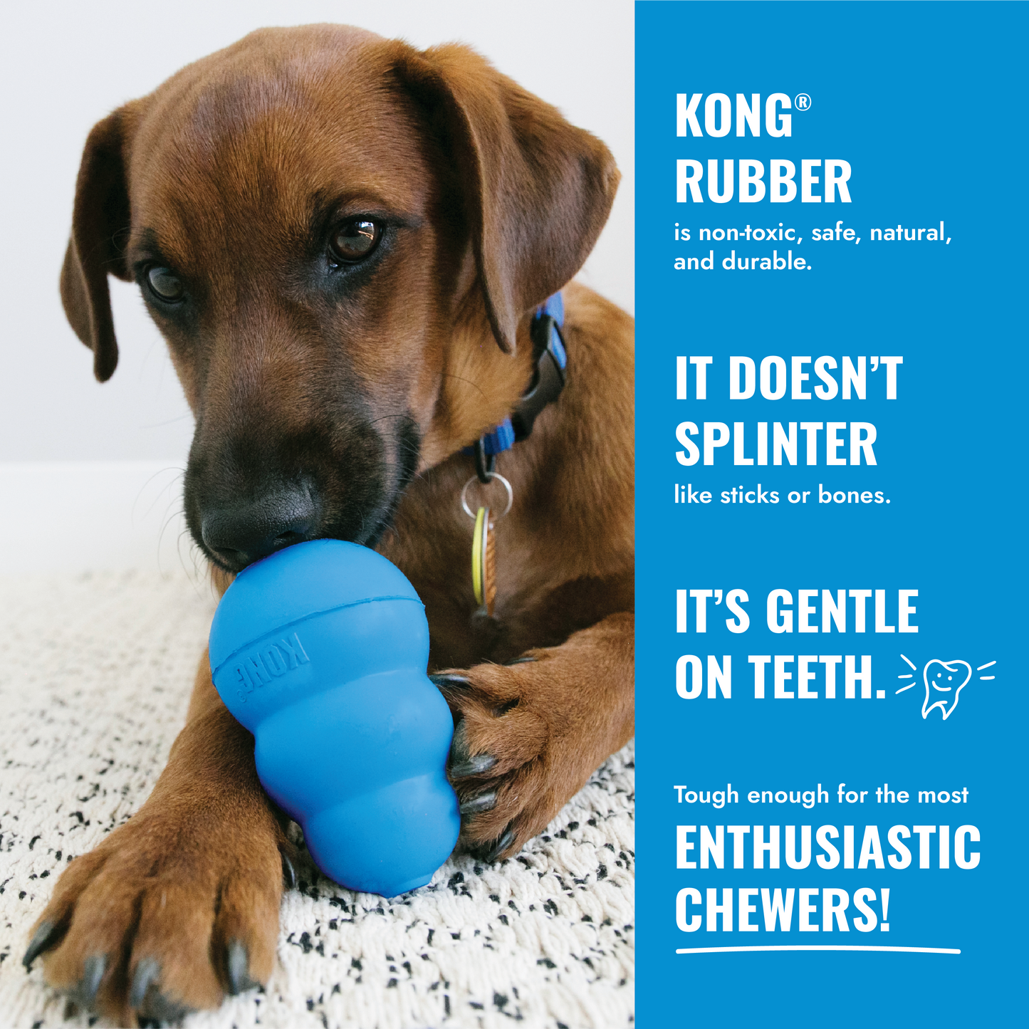 KONG Puppy - Dog Toy