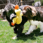 KONG Comfort Jumbo Plush Dog Toy - Yellow Duck-Purple Duck