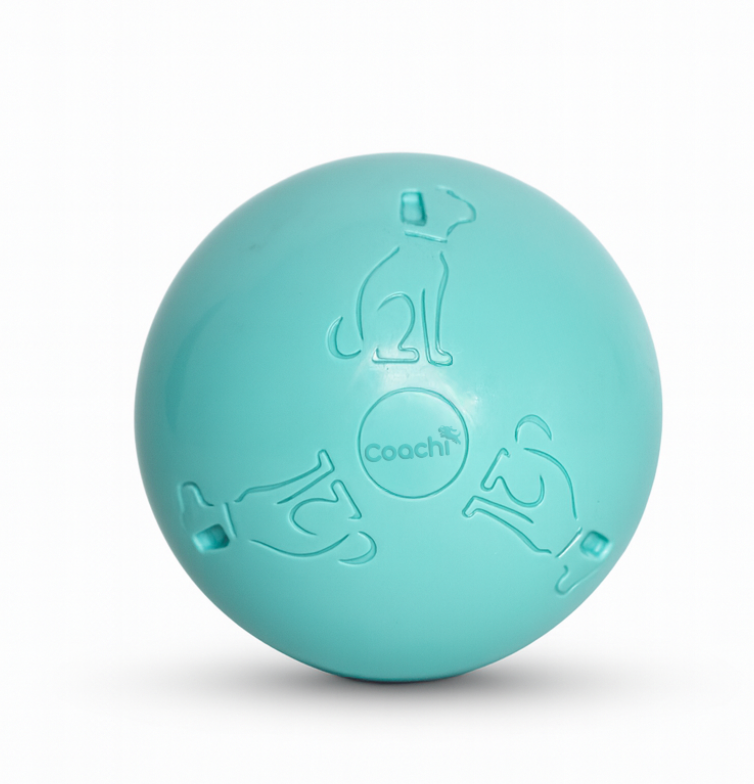 Boomi Ball by Coachi -The new version of the original Boomer ball, new colours and sizes perfect for dogs and puppies