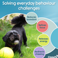 Boomi Ball by Coachi -The new version of the original Boomer ball, new colours and sizes perfect for dogs and puppies