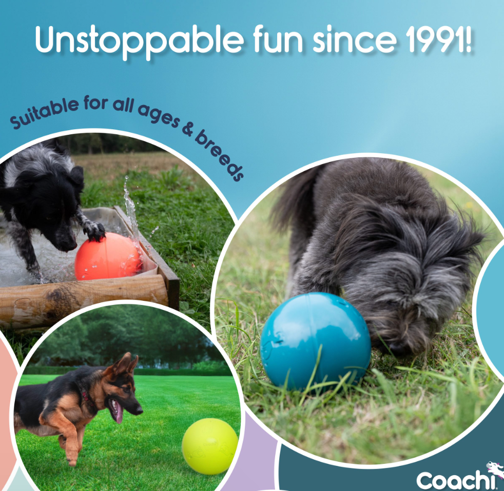Boomi Ball by Coachi -The new version of the original Boomer ball, new colours and sizes perfect for dogs and puppies
