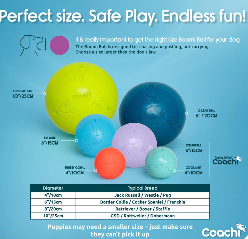 Boomi Ball by Coachi -The new version of the original Boomer ball, new colours and sizes perfect for dogs and puppies