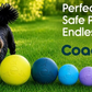 Boomi Ball by Coachi -The new version of the original Boomer ball, new colours and sizes perfect for dogs and puppies