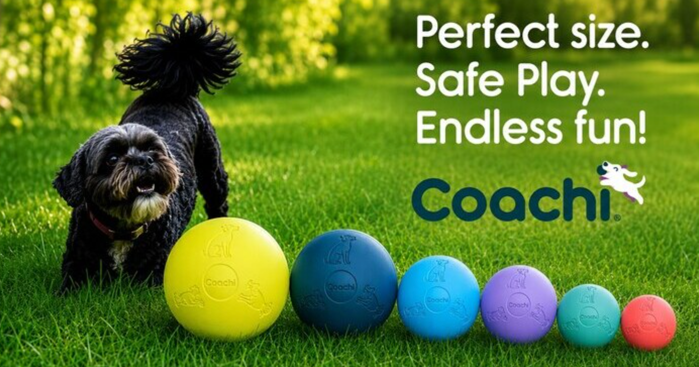 Boomi Ball by Coachi -The new version of the original Boomer ball, new colours and sizes perfect for dogs and puppies