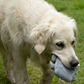 Petface Seriously Strong Plush Robot Dog Toy is built to withstand even the strongest of chewers