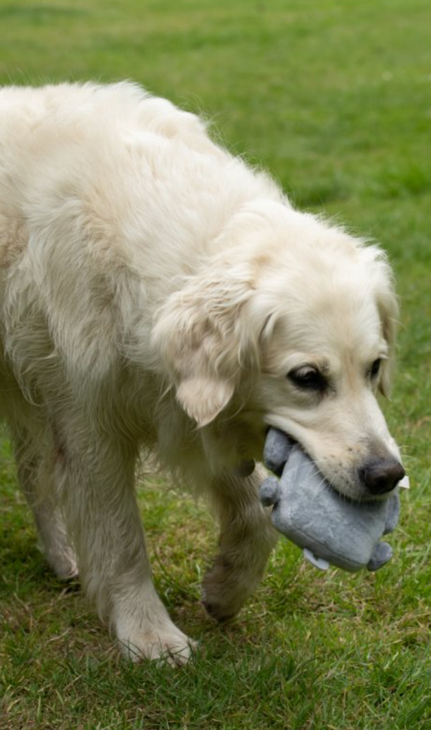 Petface Seriously Strong Plush Robot Dog Toy is built to withstand even the strongest of chewers