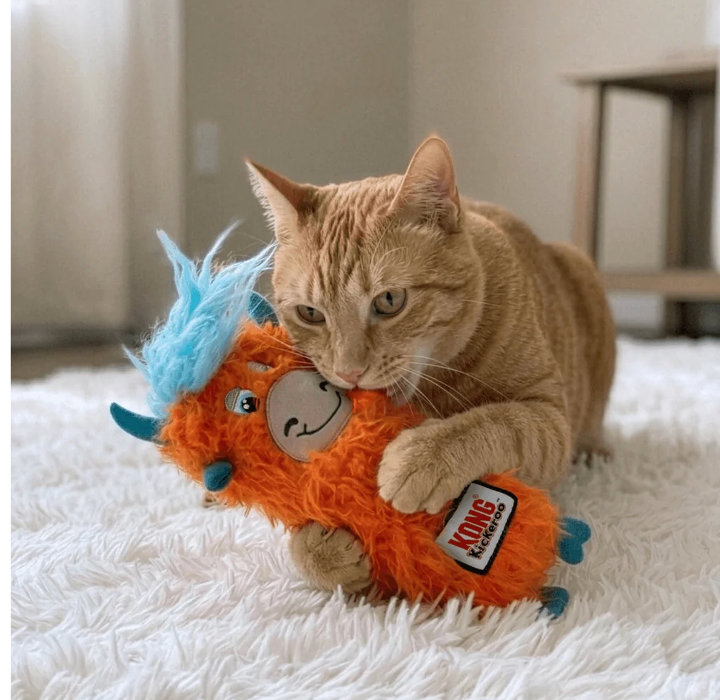 KONG Kickeroo Highland Cows are the perfect toy for your cool kitty! A bright shaggy 'do and long plush body filled with catnip