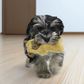 KONG Snuzzles Xsmall Dog Toy - Mini Llama