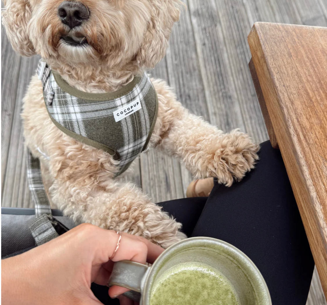 COCOPUP Olive Check Adjustable Neck HARNESS