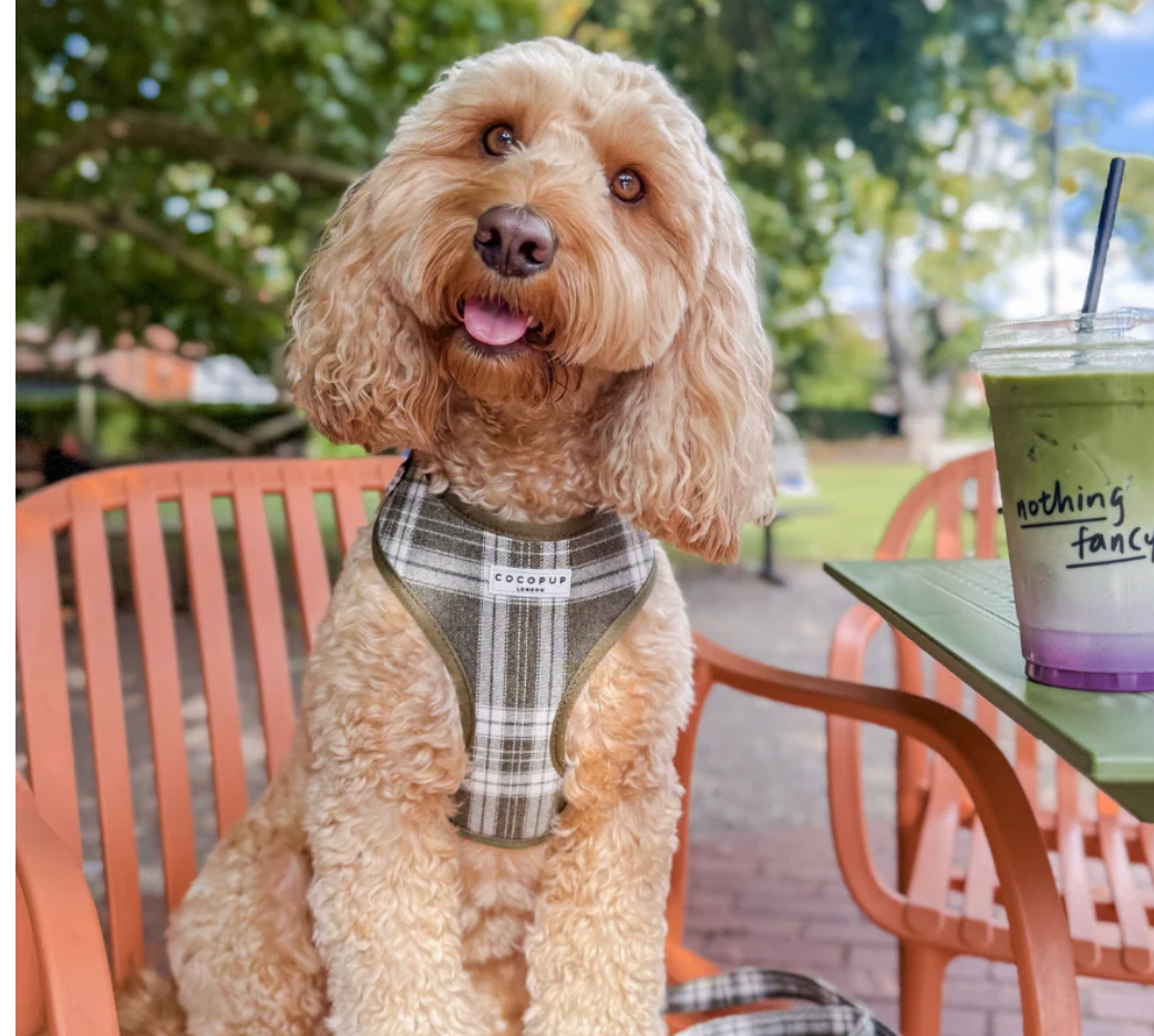 COCOPUP Olive Check Adjustable Neck HARNESS
