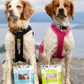Woolf Treats For Dogs