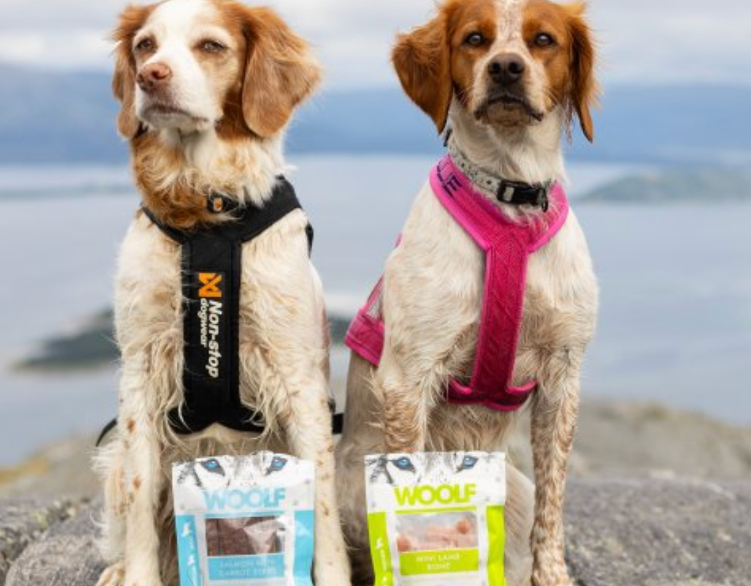 Woolf Treats For Dogs
