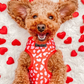 COCOPUP Red & Pink Leopard Adjustable Neck HARNESS