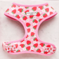 COCOPUP Pupberry Fields Bow Tie