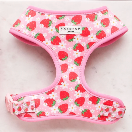 COCOPUP Pupberry Fields Bow Tie