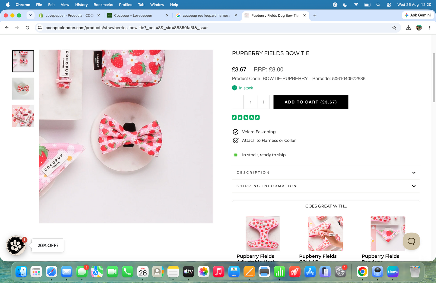 COCOPUP Pupberry Fields Bow Tie