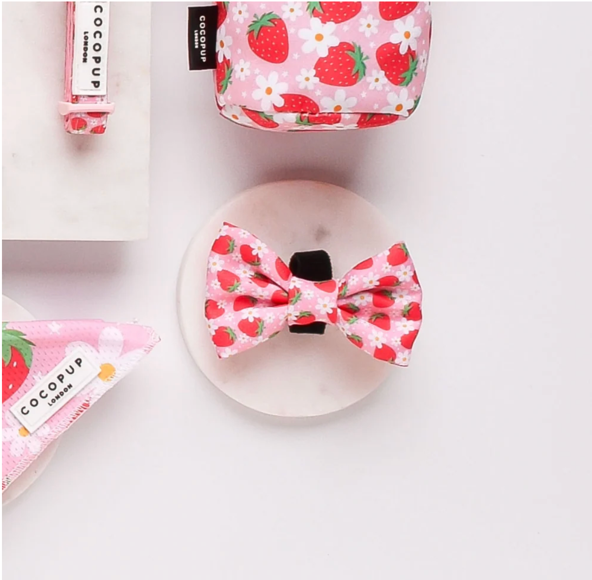 COCOPUP Pupberry Fields Bow Tie